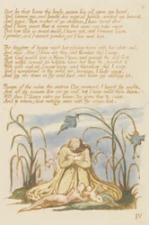 Mas aquele que ama os humildes ..., prato 7 de O Livro de Thel, 1789 (gravura em relevo impressa em marrom com wc)